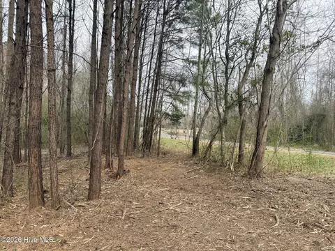 227 Langley Rd, Chocowinity, NC 27817 photo 6
