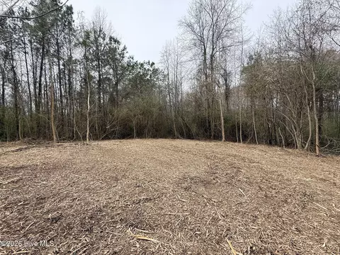 227 Langley Rd, Chocowinity, NC 27817 photo 11