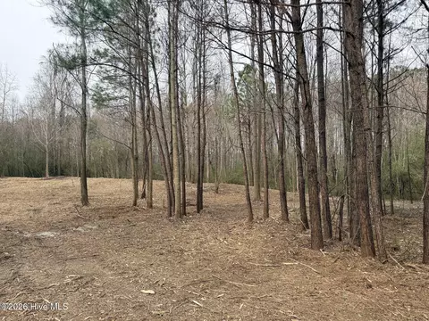 227 Langley Rd, Chocowinity, NC 27817 photo 5