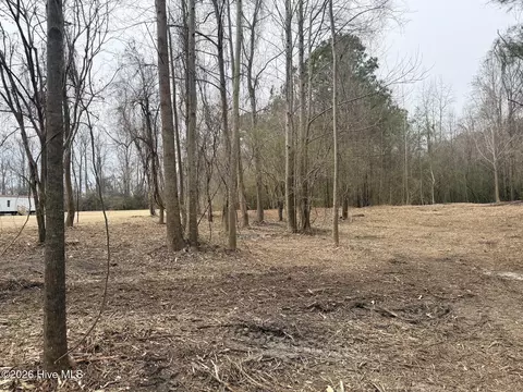 227 Langley Rd, Chocowinity, NC 27817 photo 3