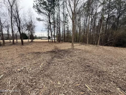227 Langley Rd, Chocowinity, NC 27817 photo 12