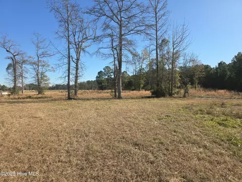 310 Lays Lake Dr, Tabor City, NC 28463