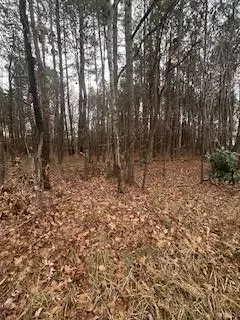 107 Browns Mill Rd, Robbins, NC 27325