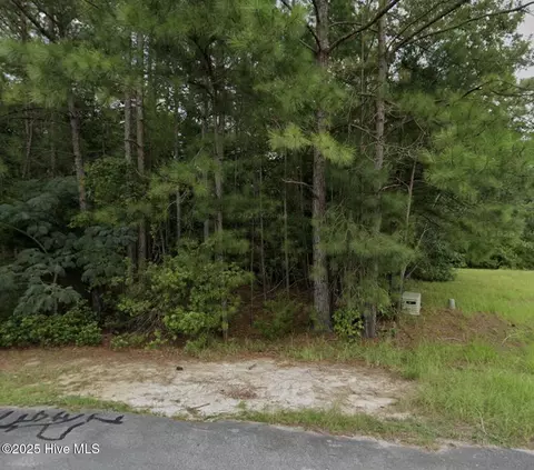 325 Farina Dr, Havelock, NC 28532