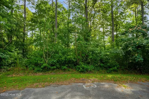 178 Marsh Run, Oriental, NC 28571 photo 21