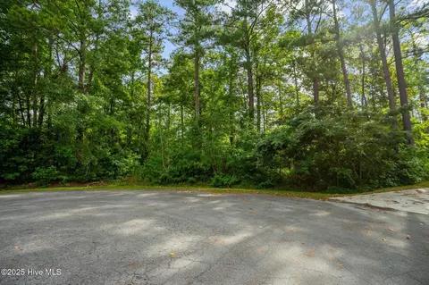 178 Marsh Run, Oriental, NC 28571 photo 23