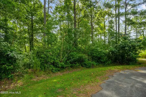 178 Marsh Run, Oriental, NC 28571 photo 20