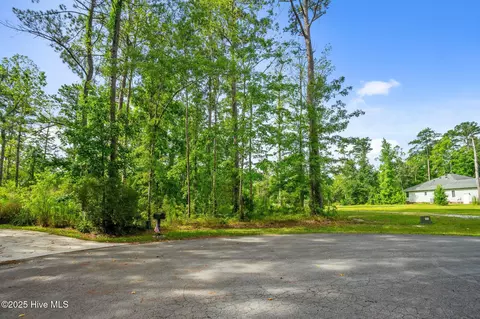 166 Marsh Run, Oriental, NC 28571 photo 4
