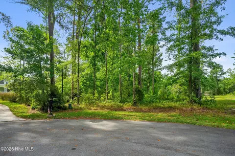 166 Marsh Run, Oriental, NC 28571 photo 3