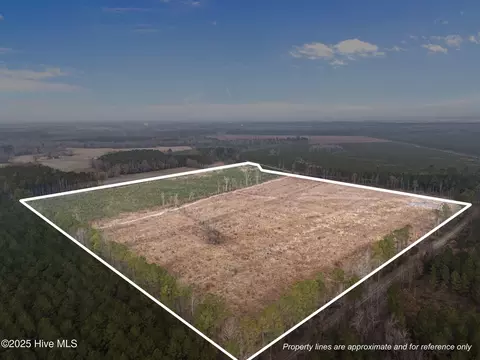 0 Windmill Rd, Chocowinity, NC 27817 photo 7
