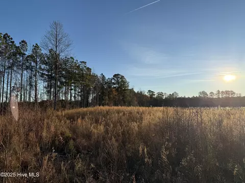 0 Windmill Rd, Chocowinity, NC 27817 photo 11