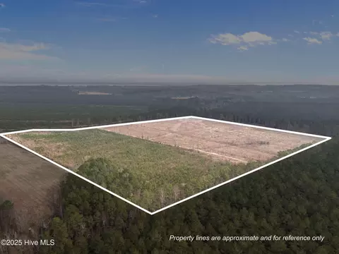 0 Windmill Rd, Chocowinity, NC 27817 photo 8
