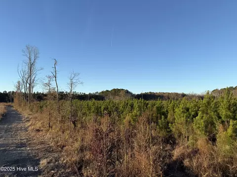 0 Windmill Rd, Chocowinity, NC 27817 photo 15