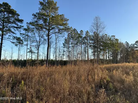 0 Windmill Rd, Chocowinity, NC 27817 photo 10