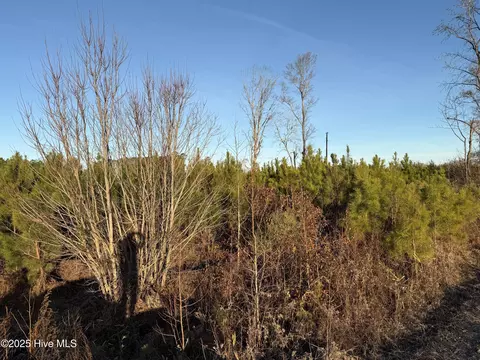 0 Windmill Rd, Chocowinity, NC 27817 photo 18