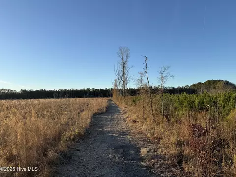 0 Windmill Rd, Chocowinity, NC 27817 photo 14