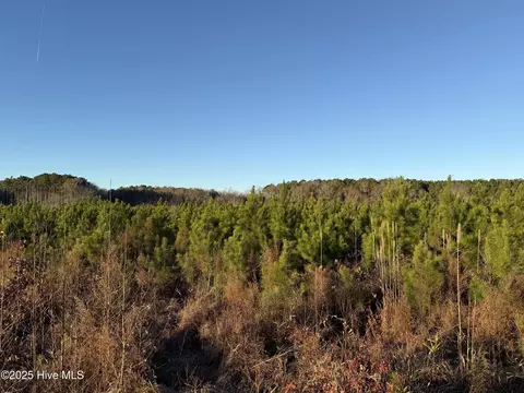 0 Windmill Rd, Chocowinity, NC 27817 photo 16
