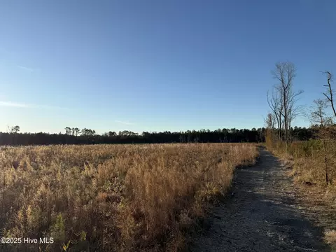 0 Windmill Rd, Chocowinity, NC 27817 photo 13