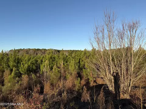 0 Windmill Rd, Chocowinity, NC 27817 photo 17
