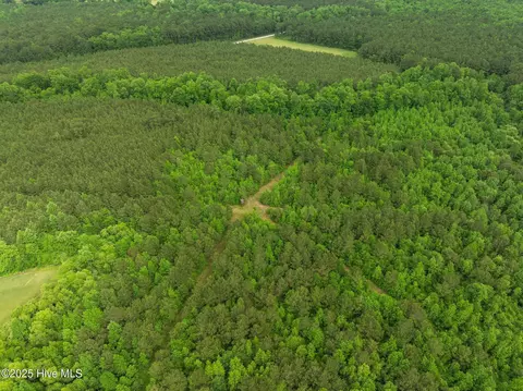 tbd Nc-50, Wallace, NC 28466 photo 11