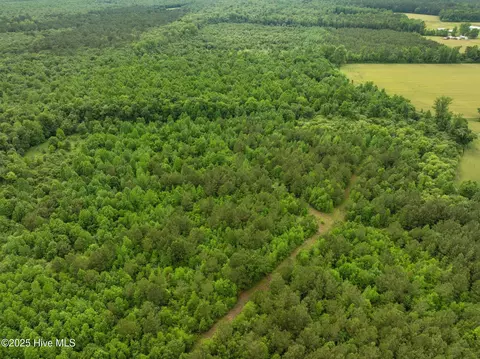 tbd Nc-50, Wallace, NC 28466 photo 14