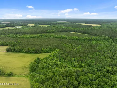 tbd Nc-50, Wallace, NC 28466 photo 12