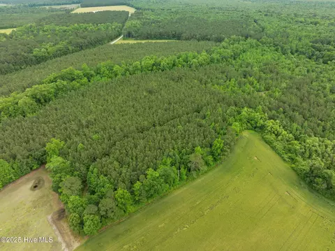 tbd Nc-50, Wallace, NC 28466 photo 8