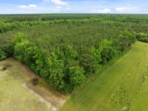 tbd Nc-50, Wallace, NC 28466 photo 4