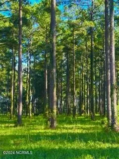 213 Cassie May Blvd, Oriental, NC 28571
