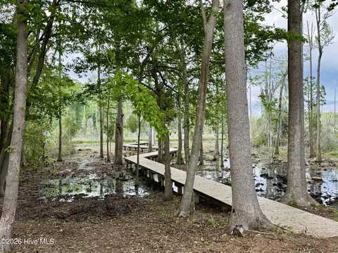 Other - 263 Treasure Point Rd, Bath, NC 27808 photo 23 of 24