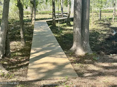 Other - 263 Treasure Point Rd, Bath, NC 27808 photo 6 of 24