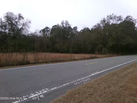 lot1 Ivanhoe Rd, Harrells, NC 28444