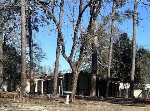Other - 206 Waldrop Rd, Dudley, NC 28333 photo 18 of 18