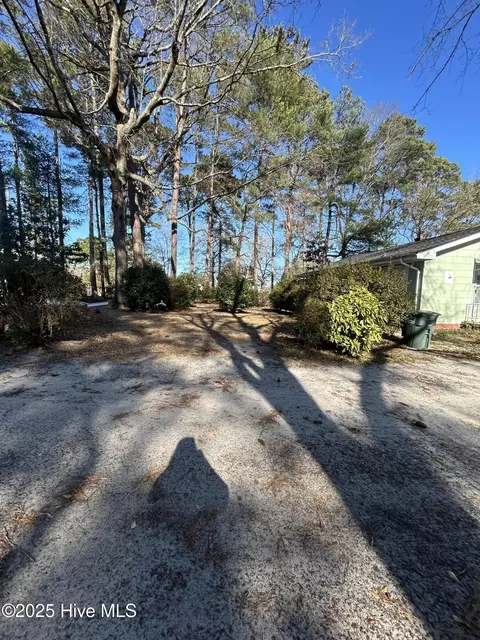 Exterior - 206 Waldrop Rd, Dudley, NC 28333 photo 1 of 15