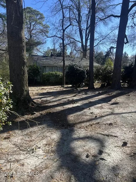 Exterior - 206 Waldrop Rd, Dudley, NC 28333 photo 7 of 15