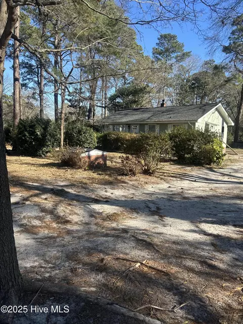 Exterior - 206 Waldrop Rd, Dudley, NC 28333 photo 8 of 15