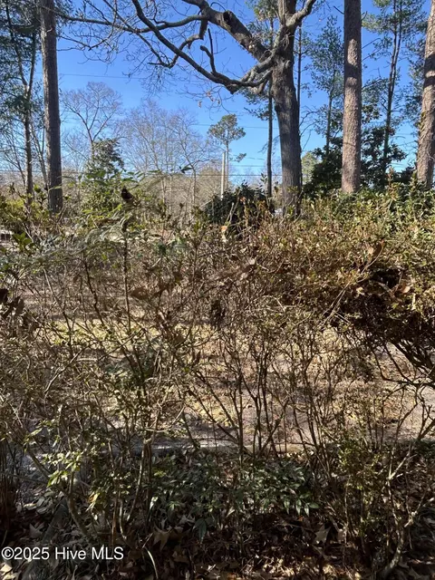 Exterior - 206 Waldrop Rd, Dudley, NC 28333 photo 3 of 15