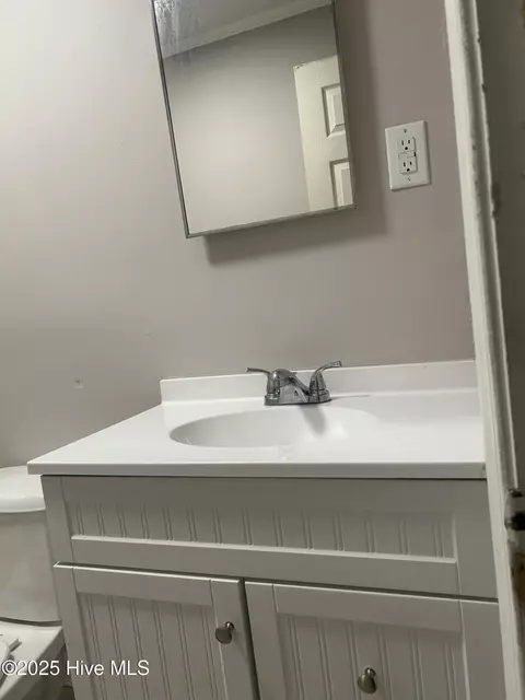 Bath - 206 Waldrop Rd, Dudley, NC 28333 photo 3 of 3
