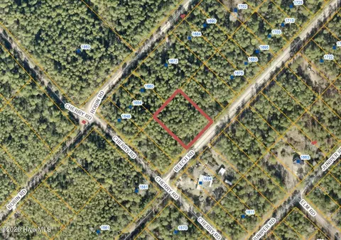 73 Acres Beech Rd, Boiling Spring Lakes, NC 28461
