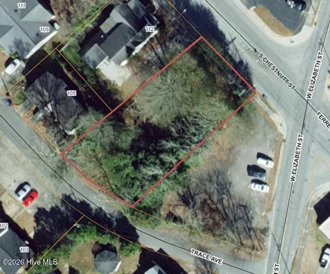 116 S Chestnut St, Clinton, NC 28328