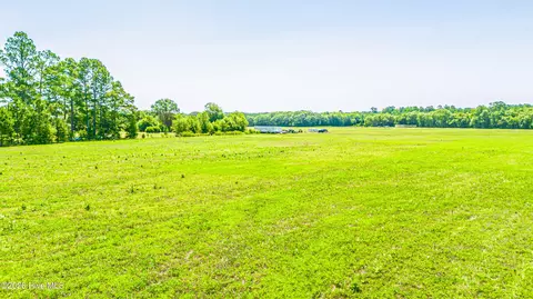 View/Area - 1532 Ghio Rd, Hamlet, NC 28345 photo 7 of 7