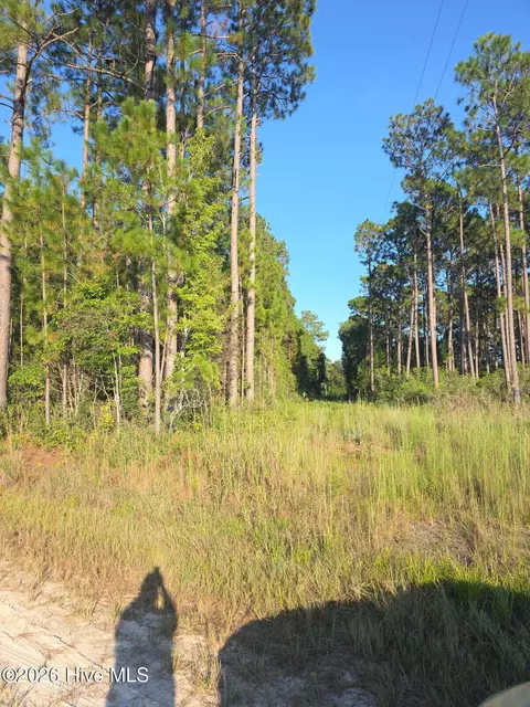 10 57 Ac Egypt Rd NW, Ash, NC 28420 photo 7