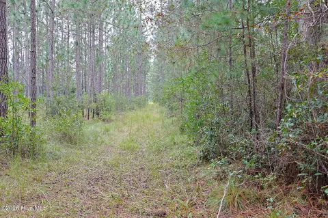 10 57 Ac Egypt Rd NW, Ash, NC 28420 photo 15