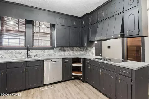 123 E College St, Mount Olive, NC 28365 photo 12