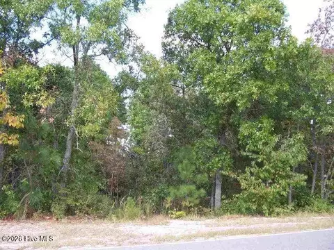 146 Cardinal Ln, West End, NC 27376