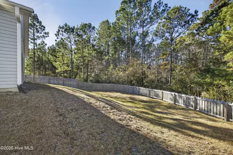 Exterior - 1003 Terraces Ln, Hampstead, NC 28443 photo 12 of 12