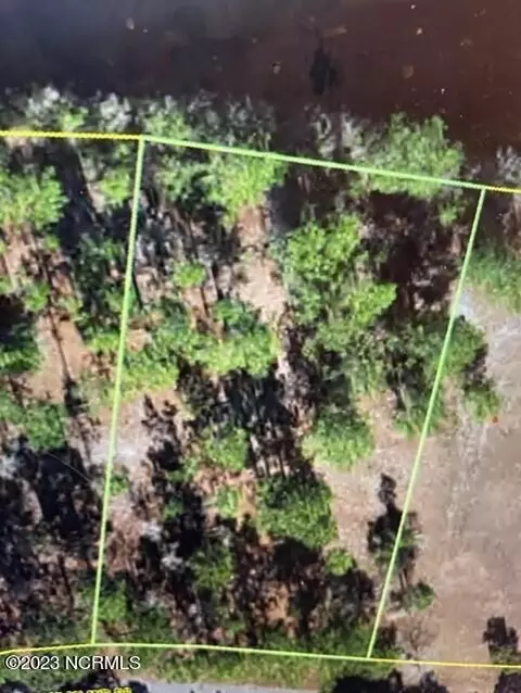 219 Oak Island Dr, Harrells, NC 28444