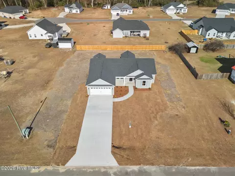 View/Area - 3030 Falcon Ct, Deep Run, NC 28525 photo 1 of 8