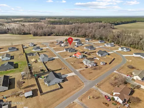 View/Area - 3030 Falcon Ct, Deep Run, NC 28525 photo 8 of 8