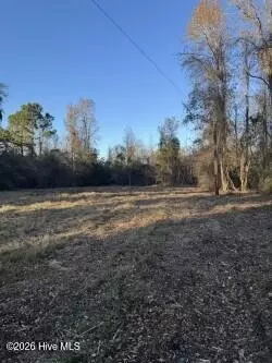 121 Agnes Ln, Hubert, NC 28539